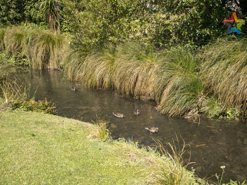1/34 Rossiter AVE, Waterloo, Lower Hutt - Carousel 13