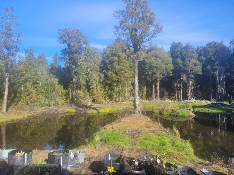 378A Kumara Junction Highway, Arahura Valley - Carousel 2