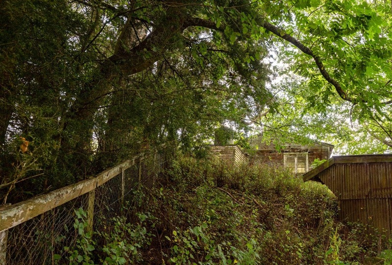 423 Kaahu Road, Whakamaru, Mangakino - Carousel 25