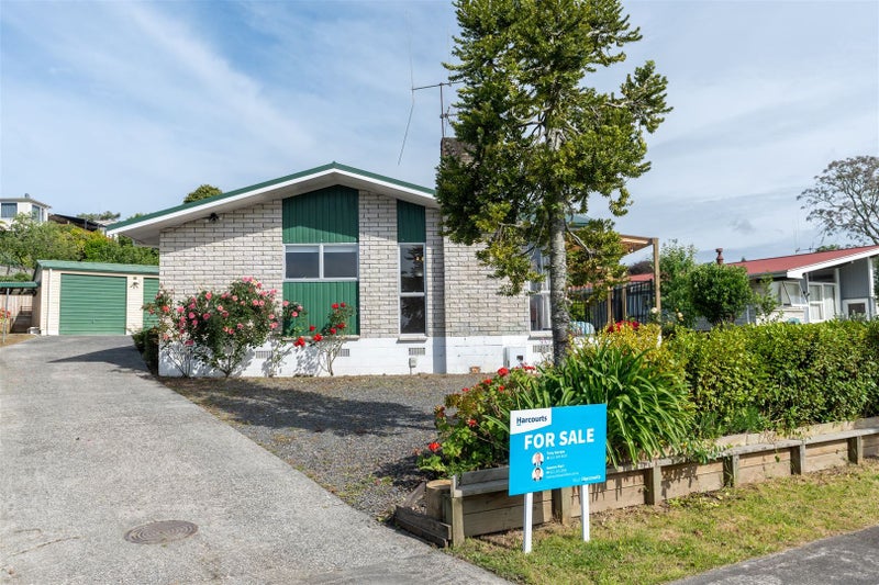 19 Caernarvon Street, Dinsdale, Hamilton - Carousel 1