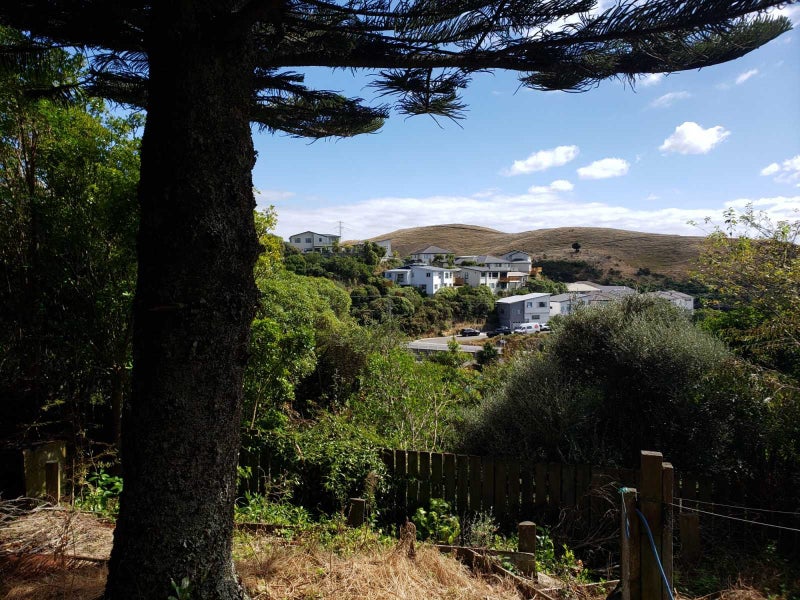 21A Lomita Road, Johnsonville, Wellington - Carousel 18