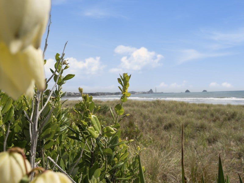 29 Richmond Street, Fitzroy, New Plymouth - Carousel 26