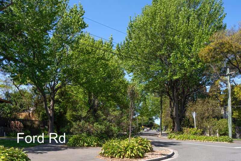 10 Ford Road, Opawa, Christchurch - Carousel 15