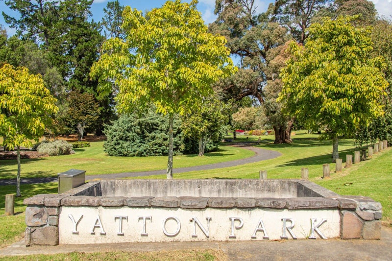 51 Harrier Street, Parkvale, Tauranga - Carousel 13