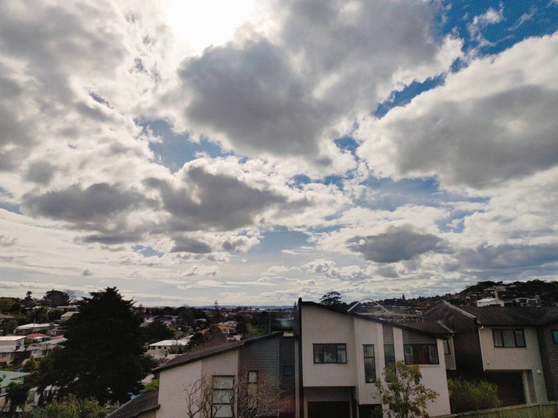 22 Roseville Street, New Windsor, Auckland - Carousel 11