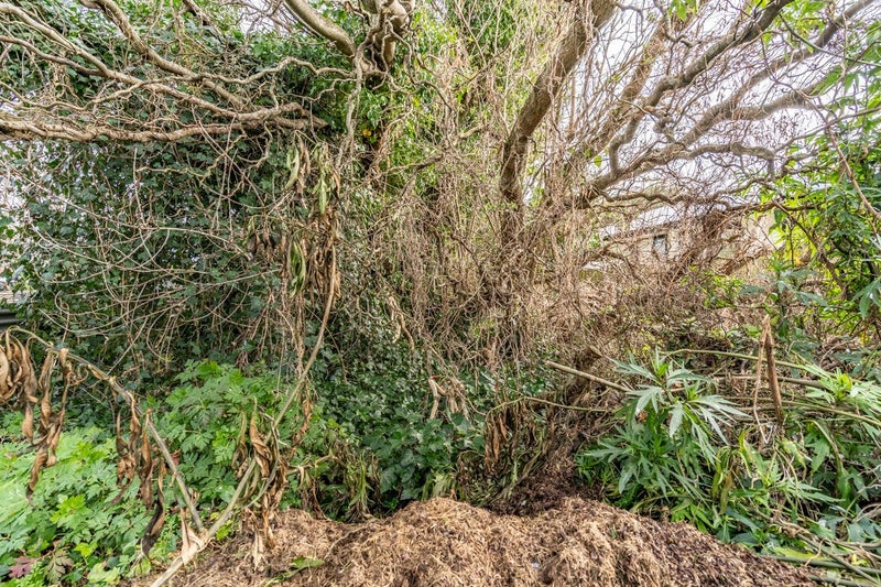 87 Venus Street, Georgetown, Invercargill - Carousel 20