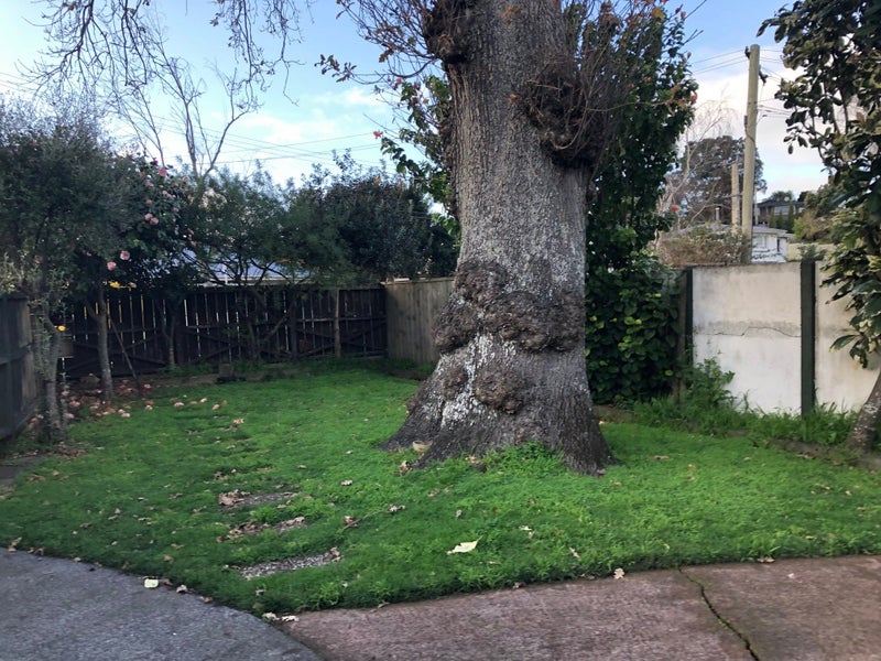 155A Pah Road, Royal Oak, Auckland - Carousel 2