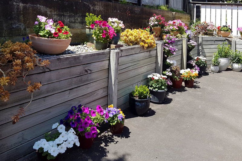 30 Judea Road, Judea, Tauranga - Carousel 26