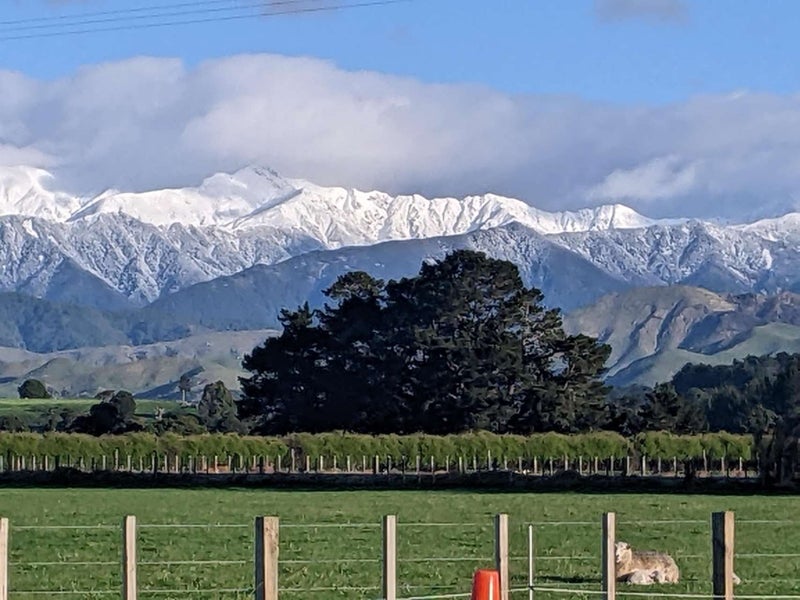 19 Black Road, Ashley Clinton, Takapau - Carousel 2