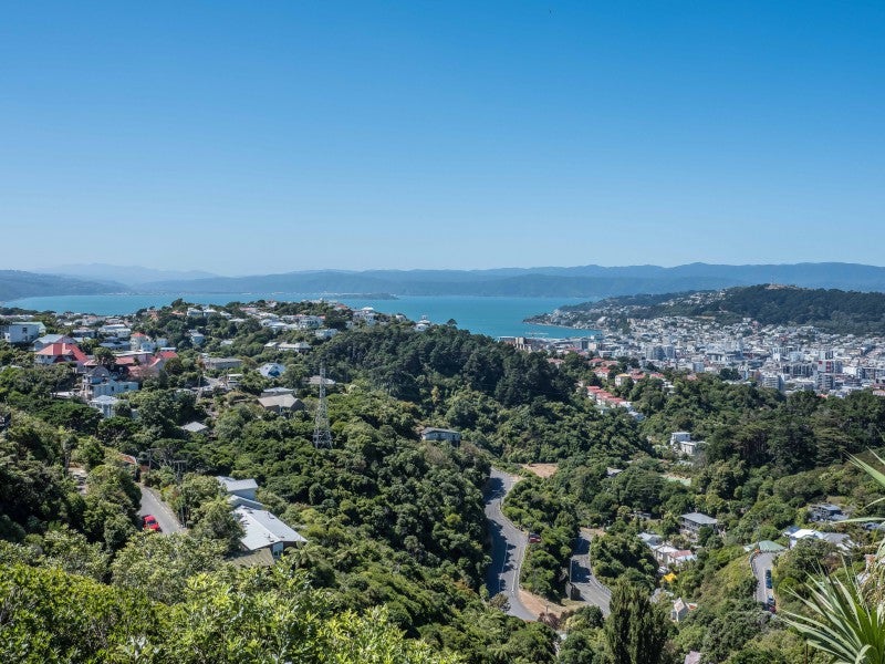 11 Highbury Crescent, Highbury, Wellington - Carousel 2