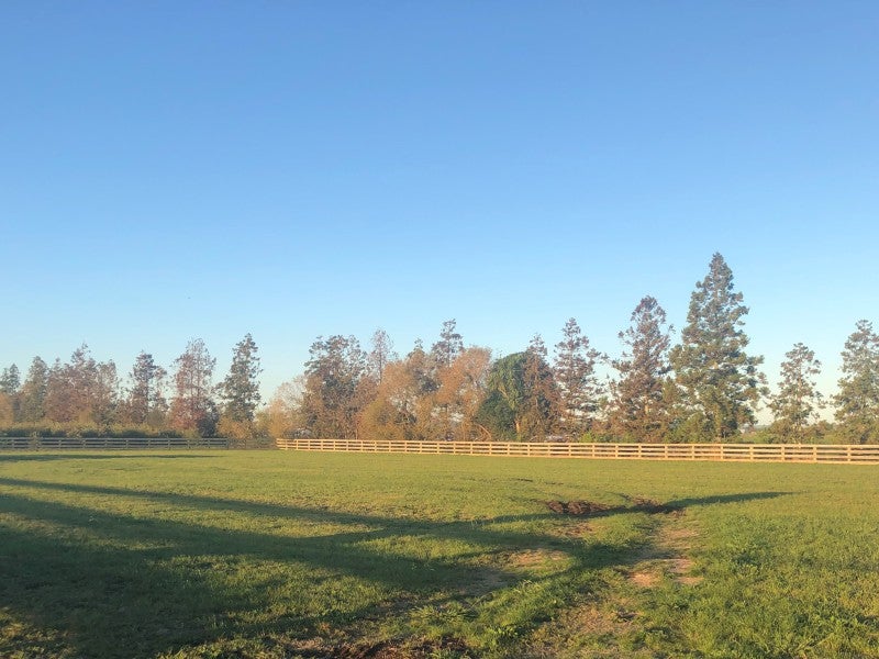 4/607 Jary Road, Cambridge - Carousel 1