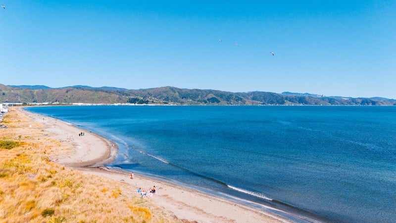 23 Nelson Street, Petone, Lower Hutt - Carousel 23