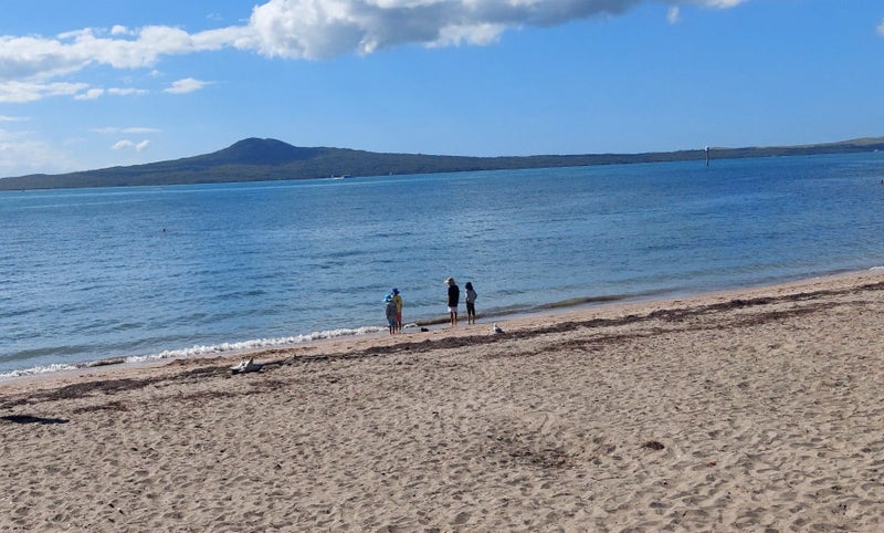 101 St Heliers Road, ST HELIERS, AUCKLAND - Carousel 16