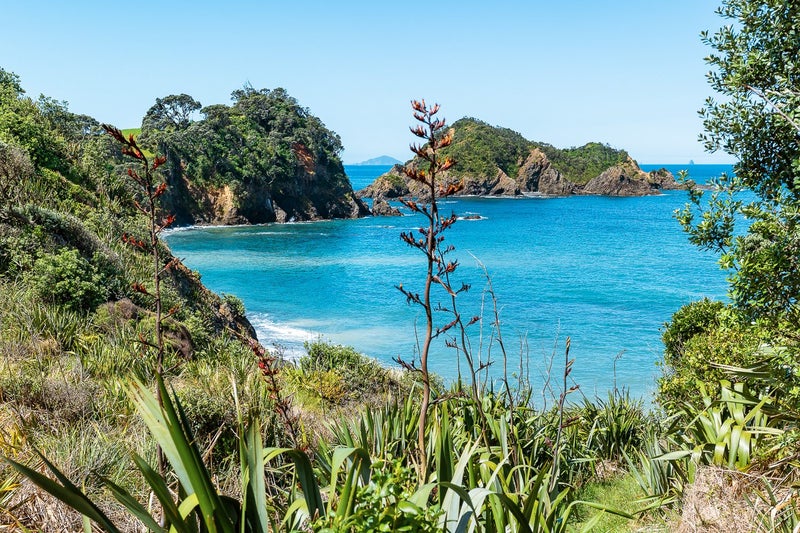 37B Dolphin Place, Tutukaka, Whangarei, Northland - Carousel 10