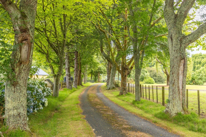 362 Peacockes Road, Peacocke, Hamilton - Carousel 2