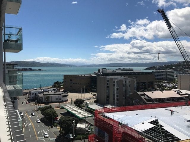 12D/30 Taranaki Street, Te Aro, Wellington - Carousel 2
