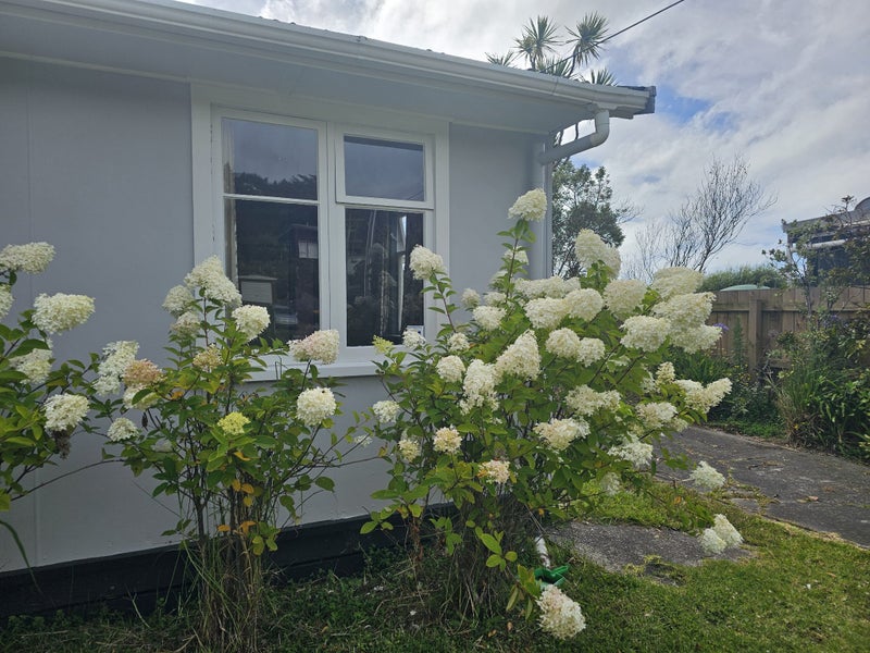 169 Kahukura Avenue, Waitarere Beach, Levin - Carousel 18