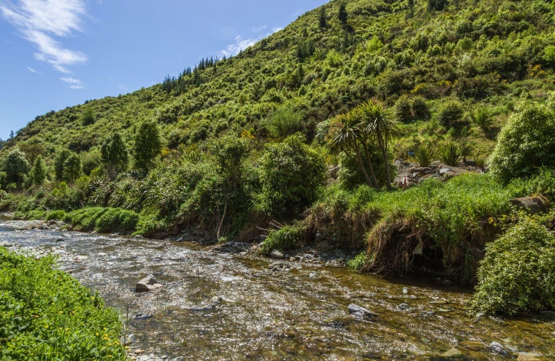 219 Brook Street, The Brook, Nelson - Carousel 22