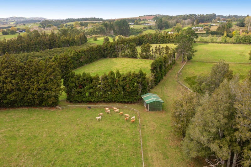 284 Runciman Road, Pukekohe - Carousel 11