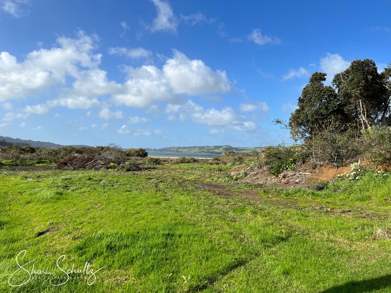 99 Komiti Road, Tinopai - Carousel 2