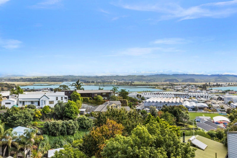 8 Denholm Road, Hospital Hill, Napier - Carousel 2