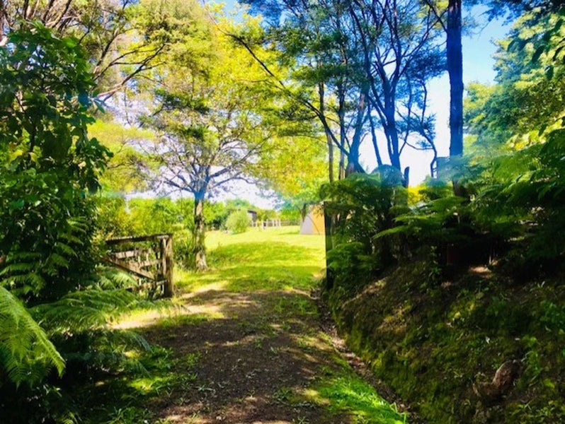 288 Bellville Drive, Coromandel, Coromandel - Carousel 20