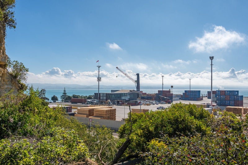 3 Hornsey Road, Bluff Hill, Napier - Carousel 12