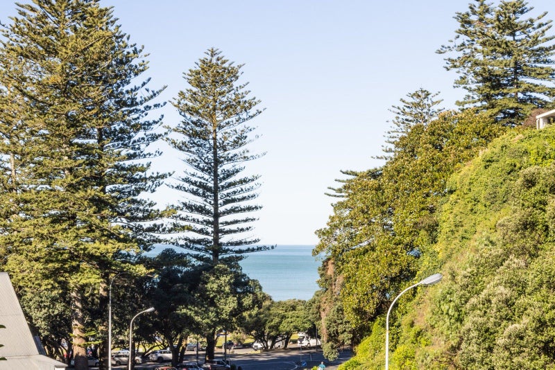 3/48 Coote Road, Bluff Hill, Napier - Carousel 1