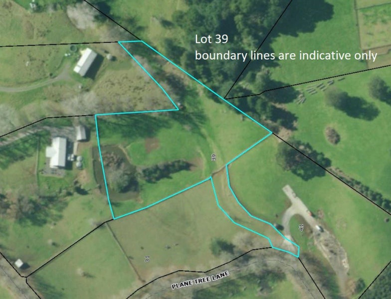 22 Plane Tree Lane Lane, RUATANGATA WEST - Carousel 25