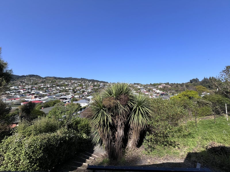 42 Buccleugh Street, North East Valley, Dunedin - Carousel 11