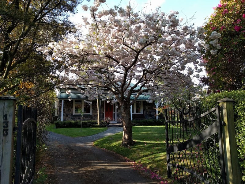 133 Fisher Avenue, Beckenham, Christchurch - Carousel 23