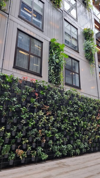 307/4 Bute Road, Browns Bay, Auckland - Carousel 15