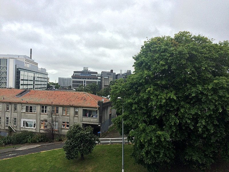 3J/127 Grafton Road, Grafton, Auckland - Carousel 2