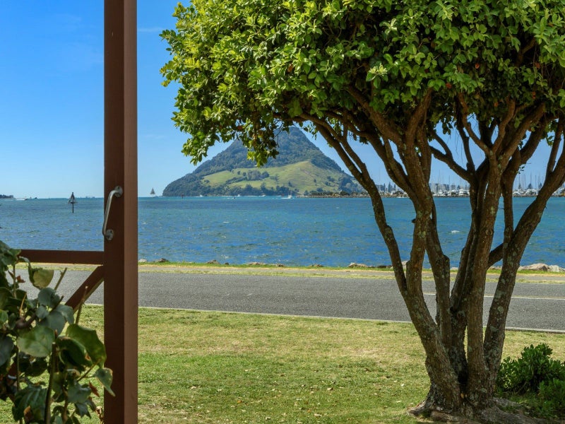 6 Harbour Drive, Otumoetai, Tauranga - Carousel 2