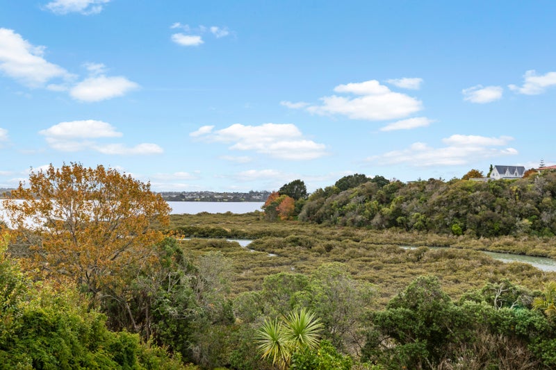 23 Davita Place, Farm Cove, Auckland - Carousel 35