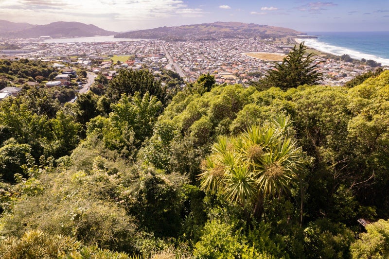 54B Earls Road, Saint Clair, Dunedin - Carousel 2