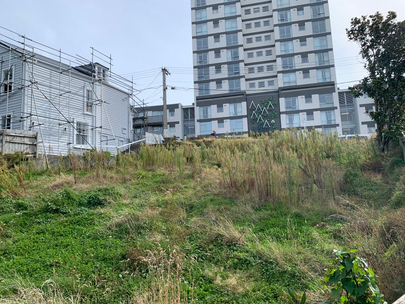 39 Nairn Street, Mount Cook, Wellington - Carousel 12