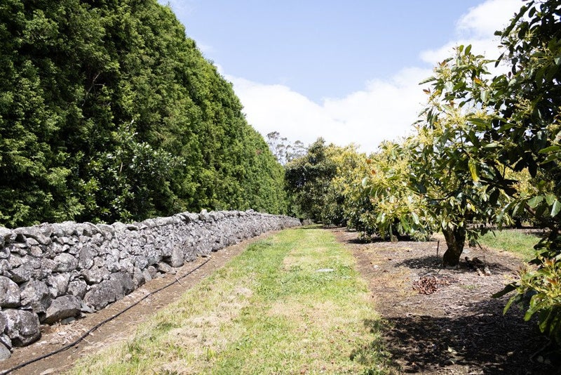 0 Mangakahia Road, Maungatapere, Whangarei - Carousel 15