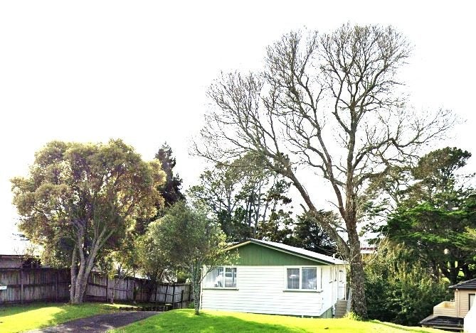 20 Rangitiki Crescent, Lynfield, Auckland - Carousel 1