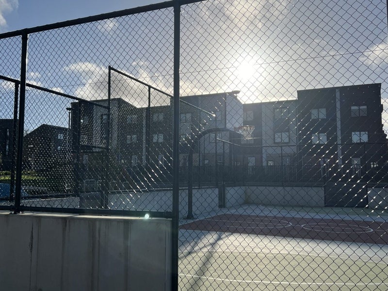 359 Glengarry Road, Glen Eden, Auckland - Carousel 15