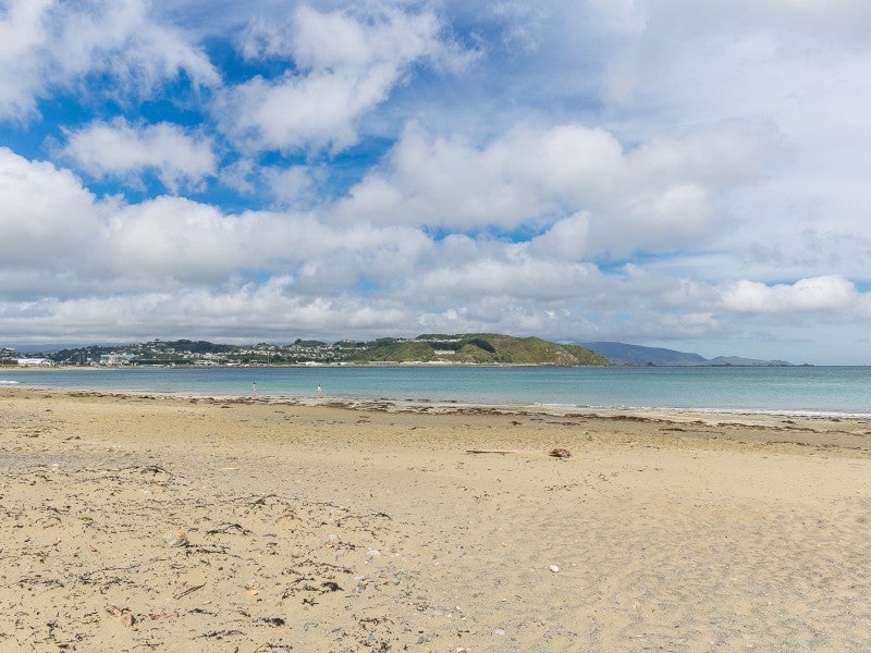 16/76 Freyberg Street, Lyall Bay, Wellington - Carousel 13