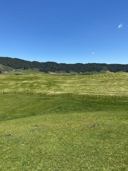 400A Paradise Valley Road, Rotorua - Carousel 15