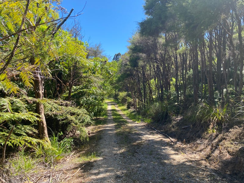 1864 Takaka-Collingwood Highway, Milnthorpe, Golden Bay / Mohua - Carousel 17