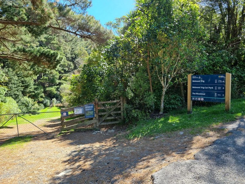 234 Stratton Street, Normandale, Lower Hutt - Carousel 17