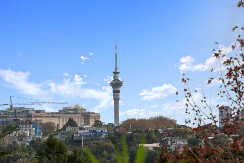 95 Arney Road, Remuera, Auckland - Carousel 41