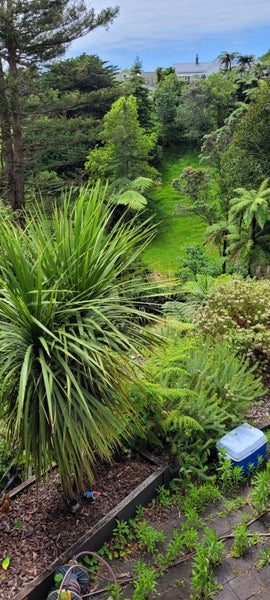 8 Pararewa Drive, Whalers Gate, New Plymouth - Carousel 25