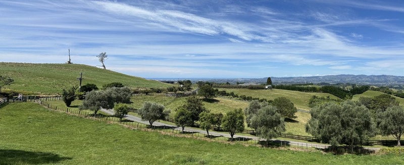 461B Minden Road, Tauranga - Carousel 2