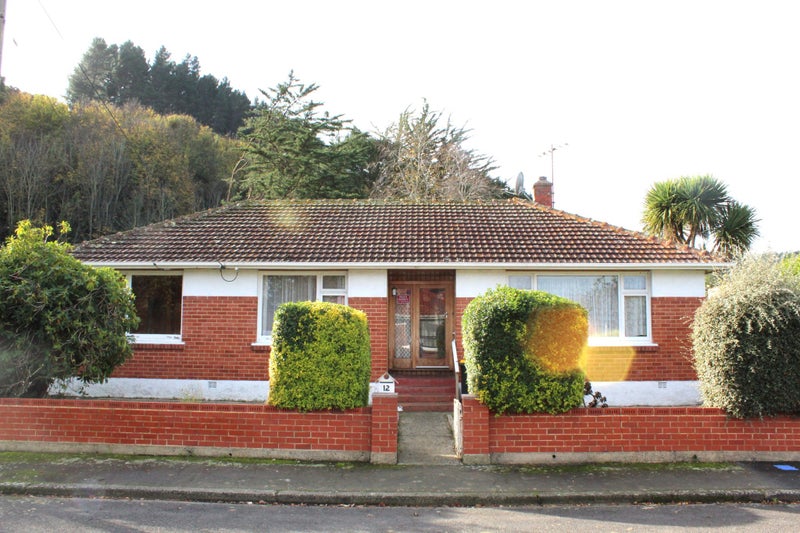 12 Tannadice Street, Normanby, Dunedin - Carousel 1
