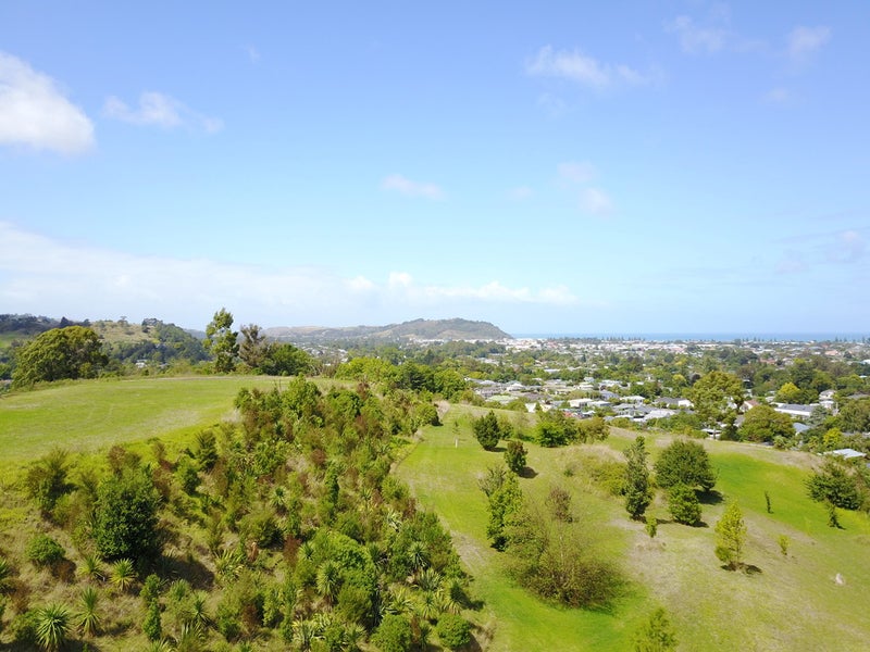 0 Hillview Terrace, Mangapapa, Gisborne - Carousel 6