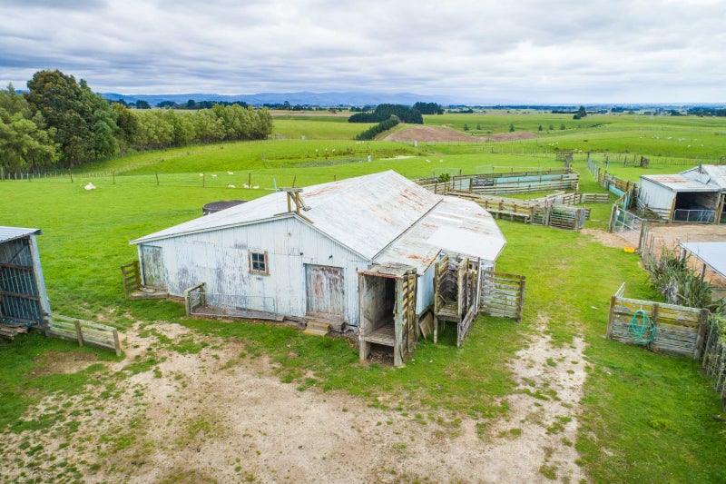 828 Colyton Road, Bunnythorpe, Feilding - Carousel 50